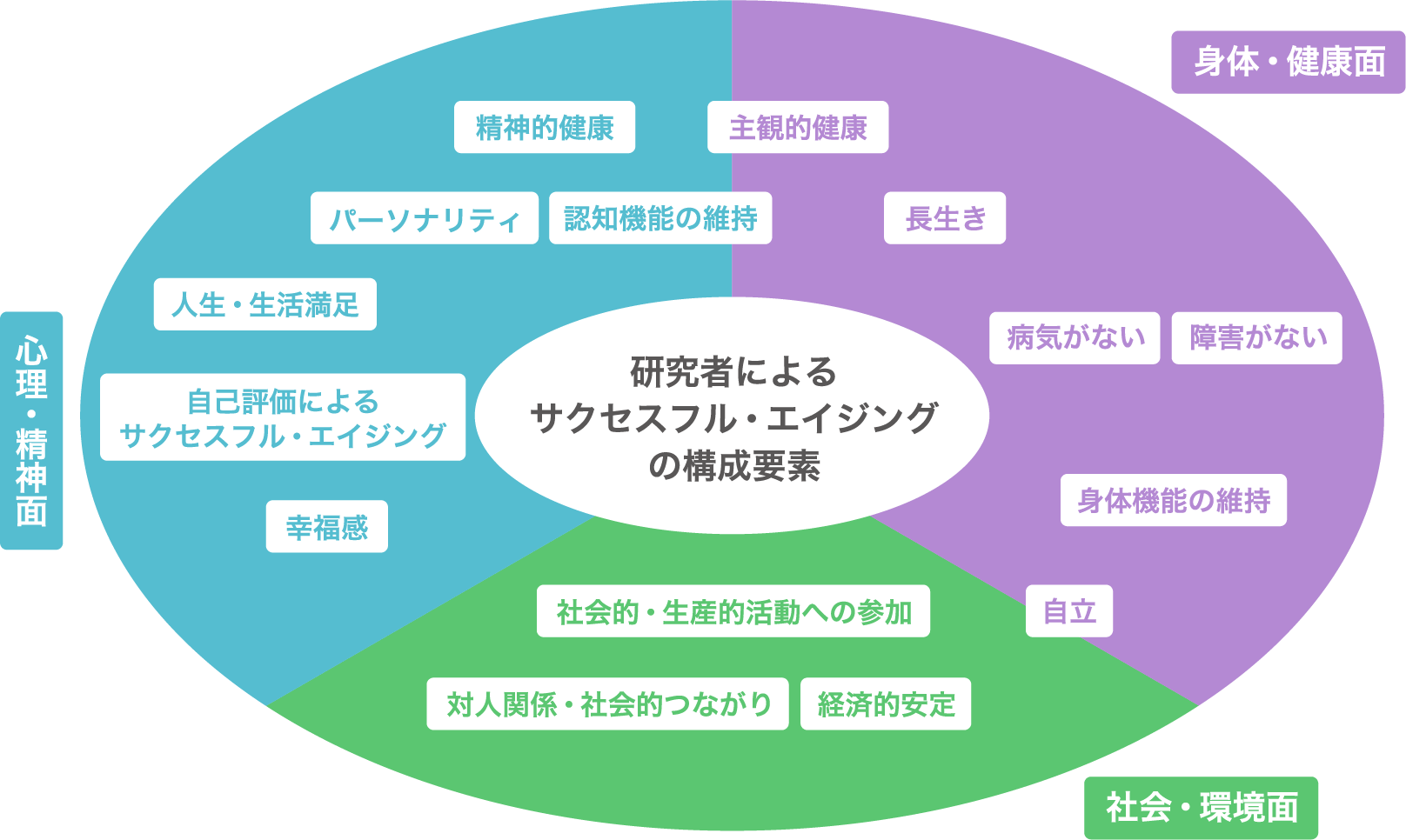 図：研究者の定義するサクセスフル・エイジングの構成要素​